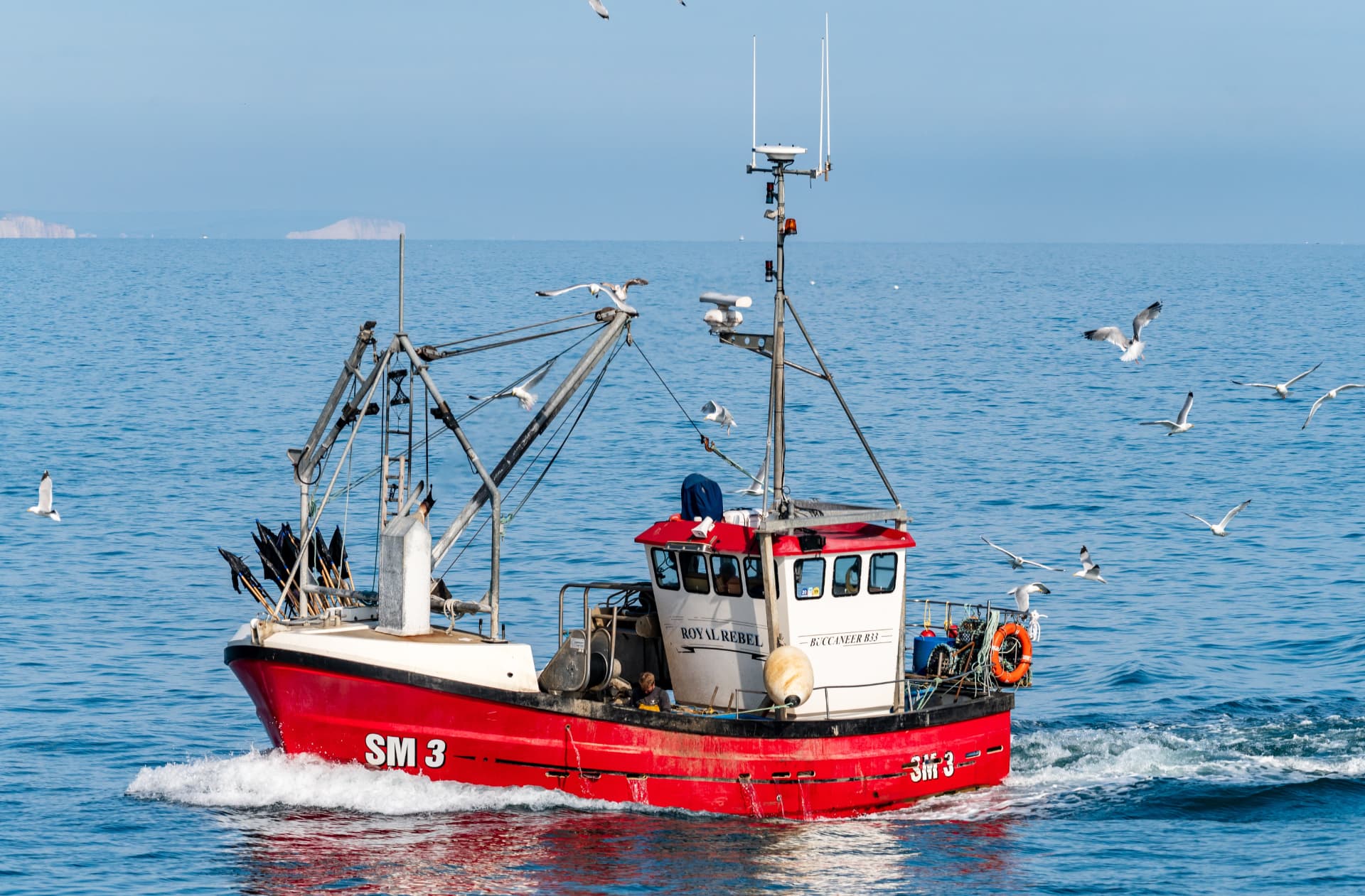 Red Moroccan fishing boat trawling on calm blue Atlantic waters surrounded by seagulls